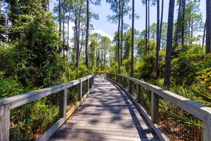 Wooden boardwalk through Deer Lake State Park