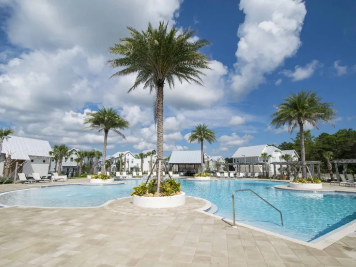 Prominence pool surrounded by palms